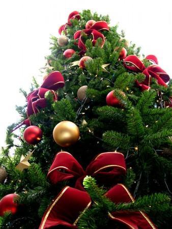 Mopec Albero Di Natale Decorativo 20 Cm Con Base In Legno - Verde, Stile Naturale