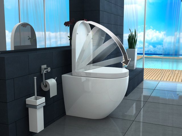 Aqua Bagno - WC Taharet, incluso sedile per WC da doccia, meccanismo Soft  Close, WC sospeso con funzione bidet e sciacquone profondo, in ceramica :  : Fai da te